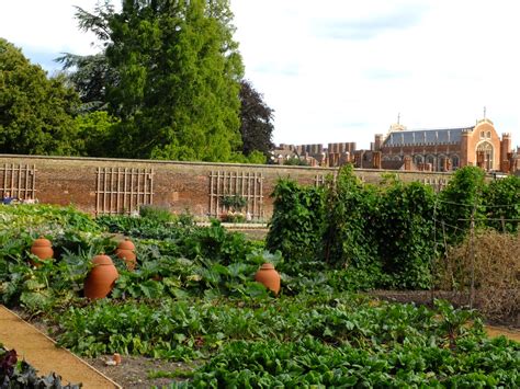 hampton court royal kitchen garden.